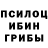 Псилоцибиновые грибы мицелий jimmike 802