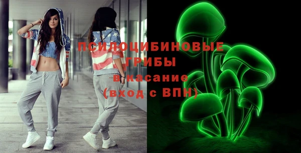 мдпв Лихославль